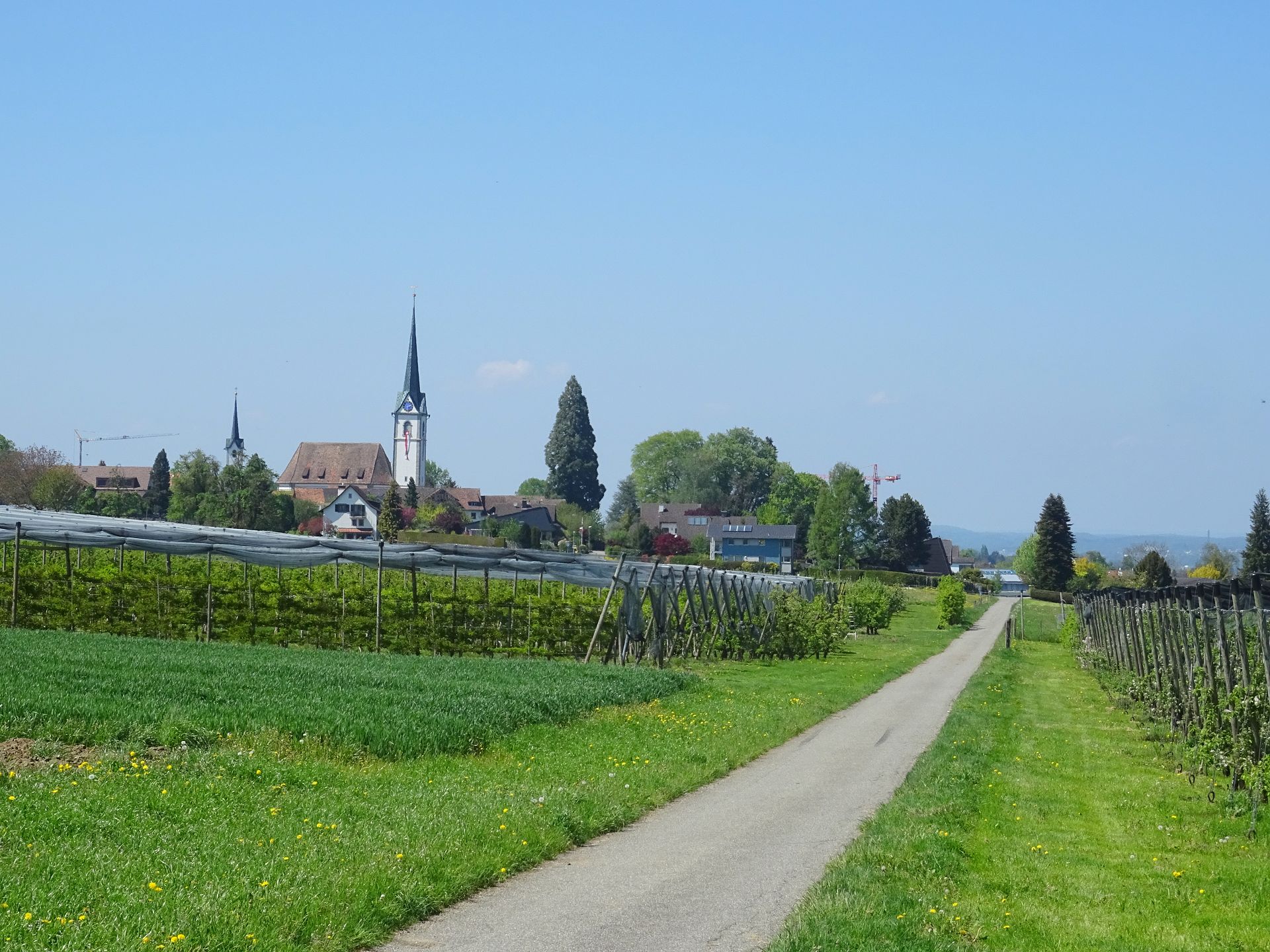 Altnau